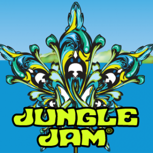 jungle jam costa rica jaco festival