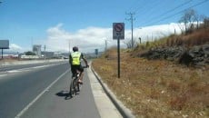 At Least He Looked at the Sign