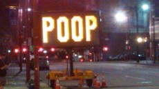 pooping on side of road main