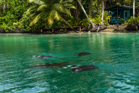 Palmyra Atoll