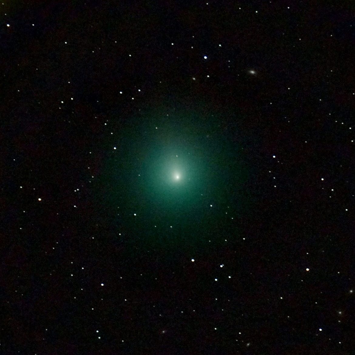 The ‘Christmas Comet’ is Back How To See It! The Costa Rican Times
