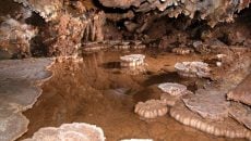 moaning caverns calaveras county california main